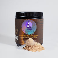 Mushroom Goddess 6X | Fermented Mushroom Blend with Prebiotics & Vitamin C