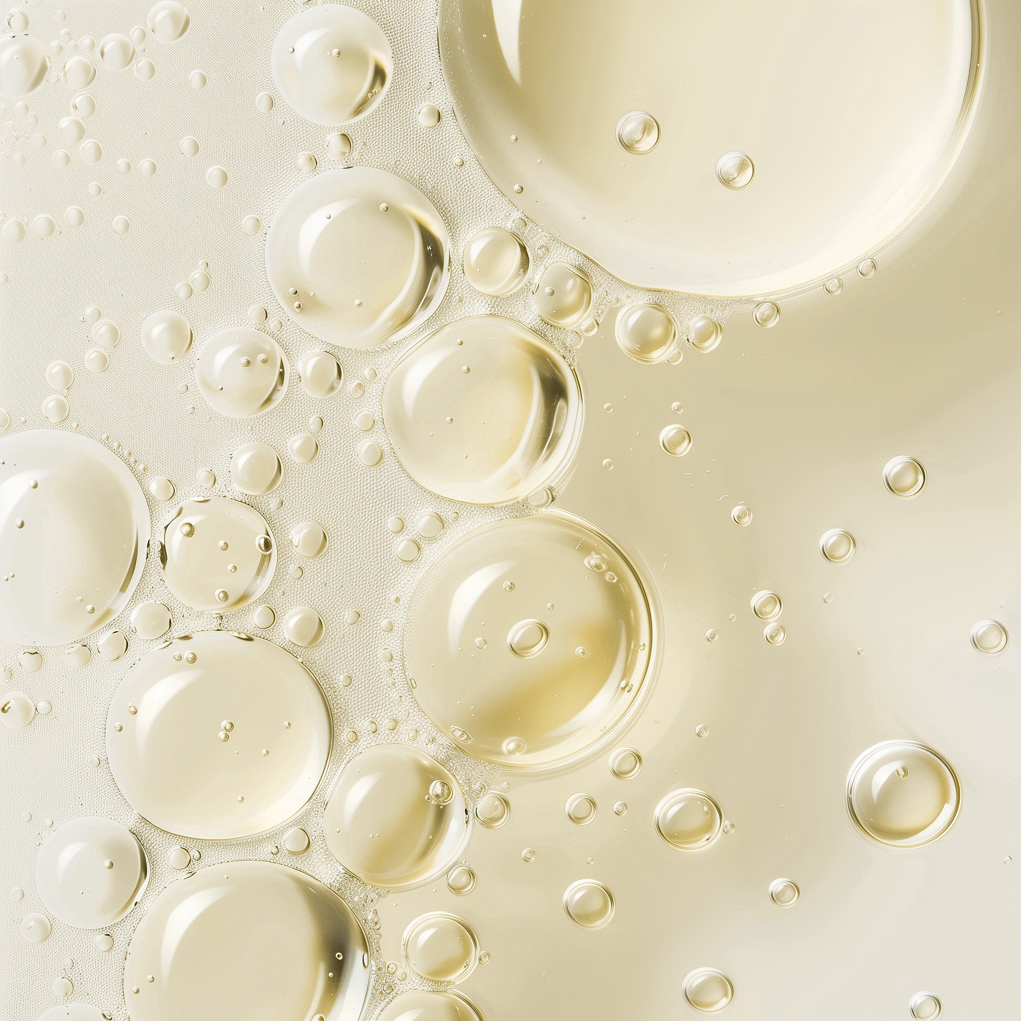 Ren8 | Rosemary Ginger Hair Growth Serum